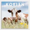 Jaarkalender Koeien 2026