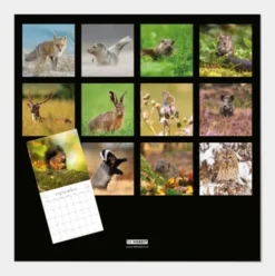 Jaarkalender Natuur 2027