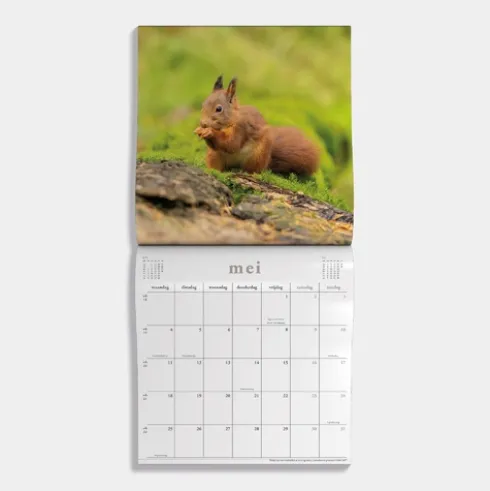 Jaarkalender Natuur 2026