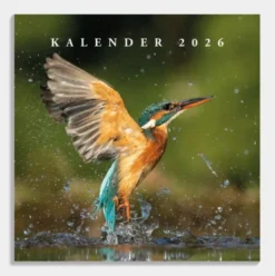 Jaarkalender Vogels 2026