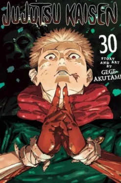 Jujutsu Kaisen, Vol. 30