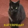 Katerpraat