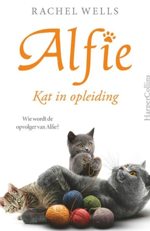Kat in opleiding