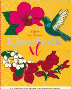 Kleurboek XL - Zilver & Glas in lood effecten