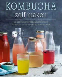 Kombucha zelf maken
