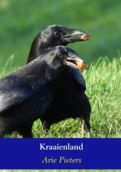 Kraaienland