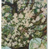 Kunst weekkalender 2027
