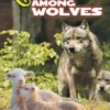 Lambs Among Wolves