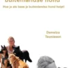25 Lessen Voor Je Buitenlandse Hond