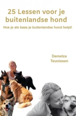 25 Lessen Voor Je Buitenlandse Hond