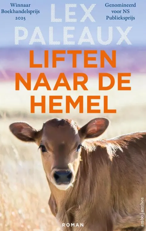 Liften naar de hemel