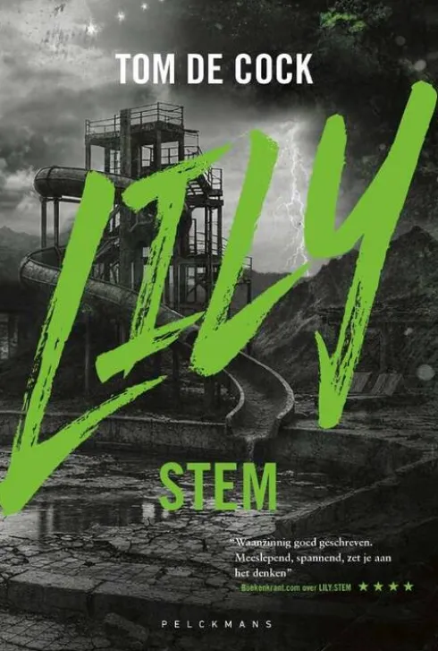 LILY: Stem