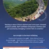 Lonely Planet Pocket Beijing