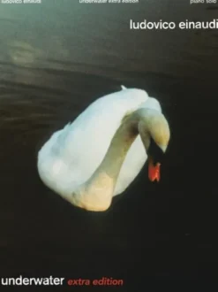 Ludovico Einaudi Underwater -
