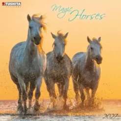 Magic Horses 2027