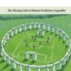 Man the Footballer—Homo Passiens