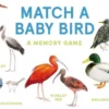 Match a Baby Bird: An Avian Memory Game