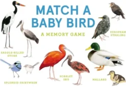 Match a Baby Bird: An Avian Memory Game
