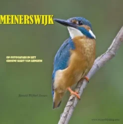 Meinerswijk