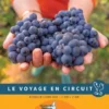 Michelin Wegenkaart 515 Champagne-Ardennen 2026