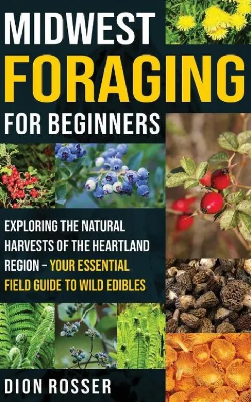Midwest Foraging for Beginners