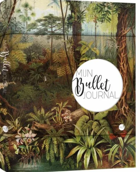 Mijn Bullet Journal