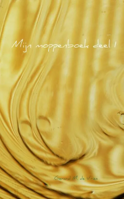 Mijn moppenboek