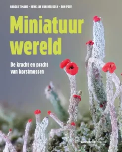 Miniatuurwereld