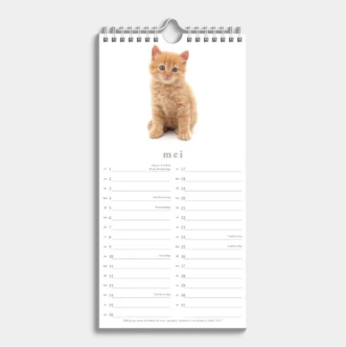 Minikalender Katten 2026