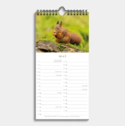 Minikalender Natuur 2026