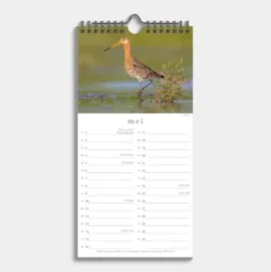 Minikalender Vogels 2026