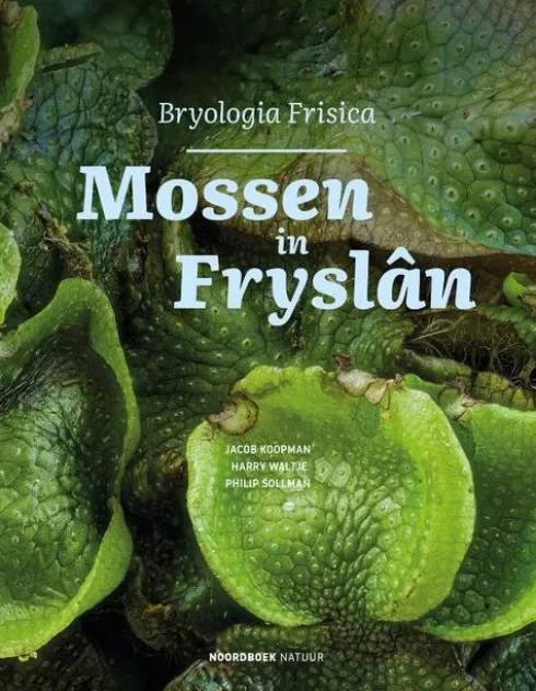 Mossen in Fryslân