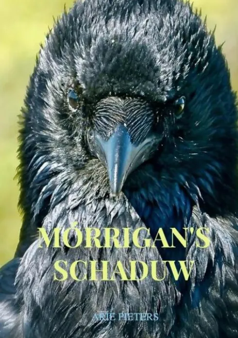 Mórrigan's schaduw
