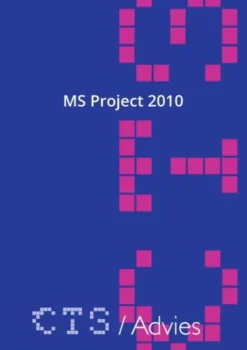 MS Project 2010