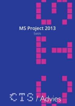 MS Project 2010-2013 Basis