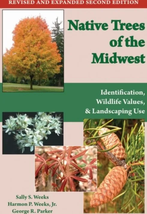 Native Trees of the Midwest