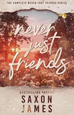 Never Just Friends Omnibus