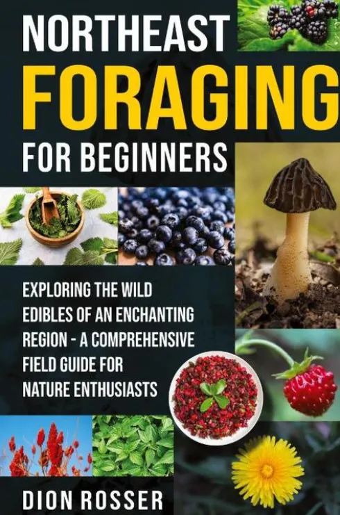 Northeast Foraging for Beginners