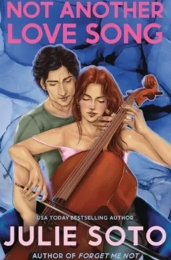 Not Another Love Song