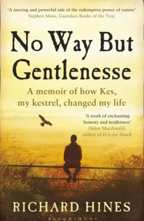 No Way But Gentlenesse