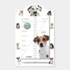 Omslagkalender Luxe Honden 2027