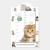 Omslagkalender Luxe Katten 2027