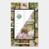 Omslagkalender Vogels 2027