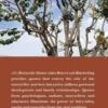 One Hundred Memorable Quotes About Stories and Storytelling