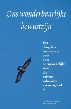 Ons wonderbaarlijke bewustzijn