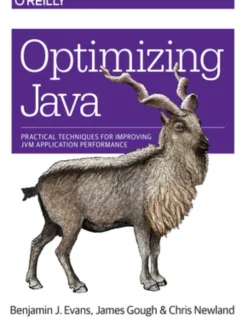 Optimizing Java