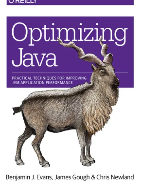 Optimizing Java