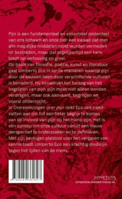 Overpeinzingen over pijn