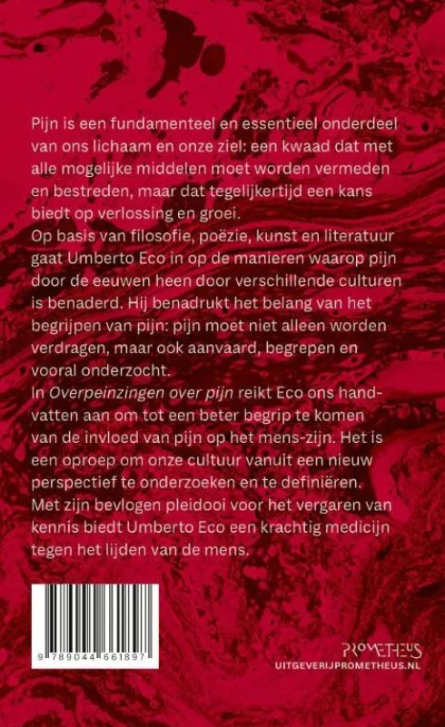 Overpeinzingen over pijn