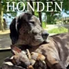 Passie voor honden